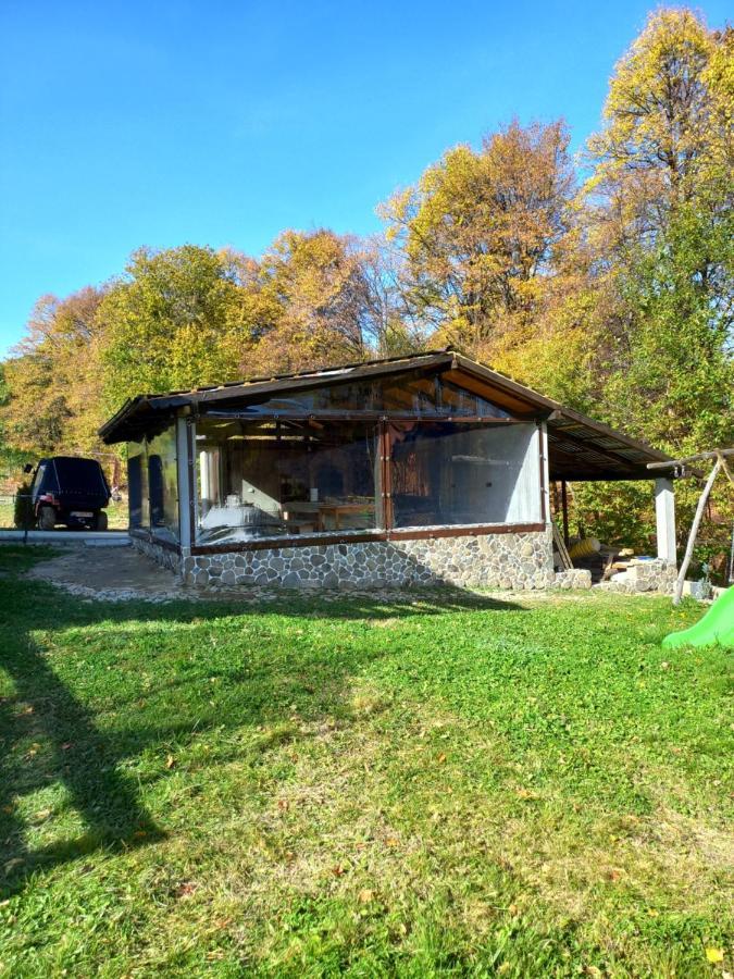 Pensiunea Natura Sadu Sibiu Exterior photo
