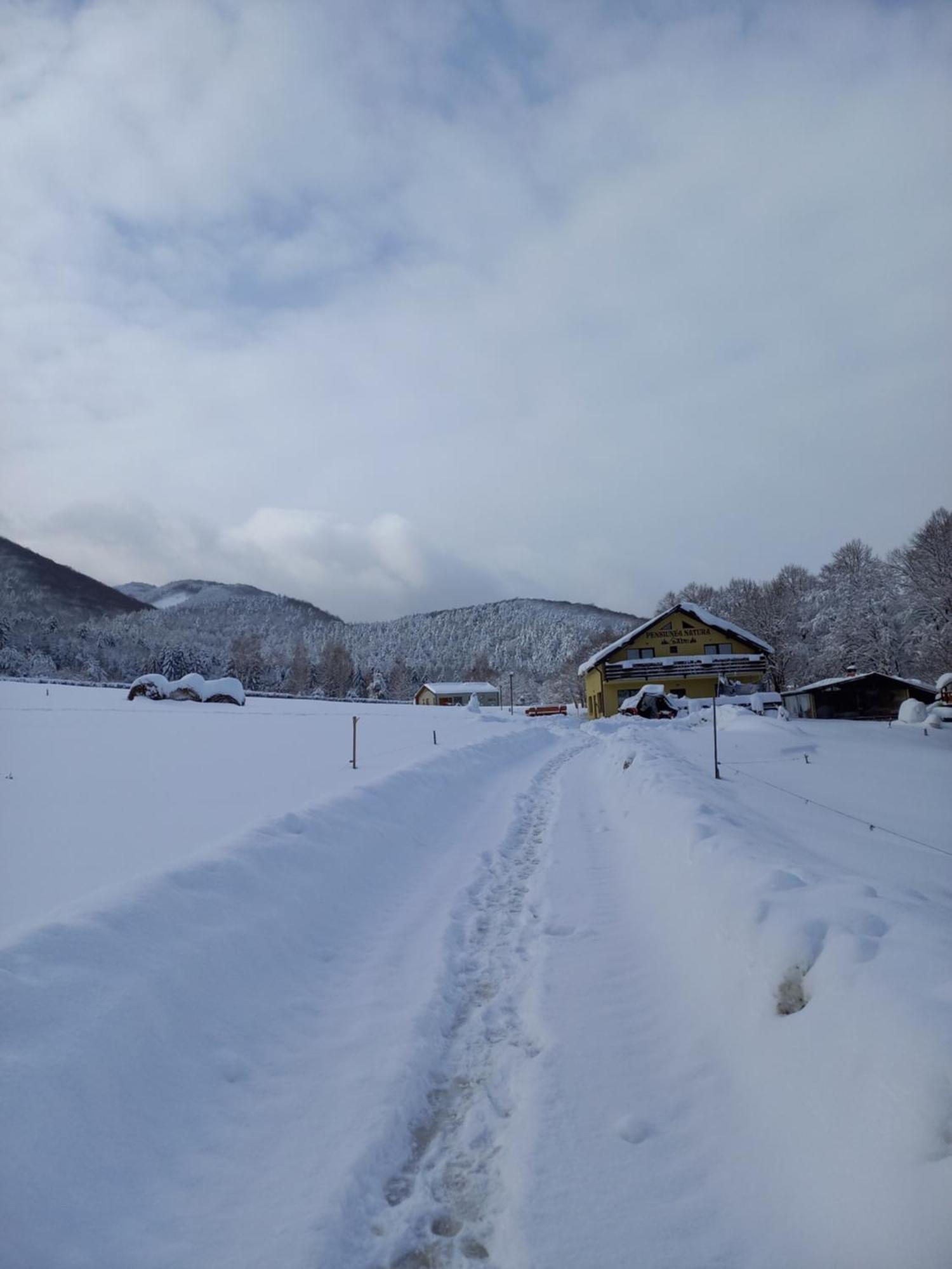 Pensiunea Natura Sadu Sibiu Exterior photo